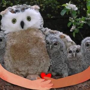 Meet your Posher, Cailen